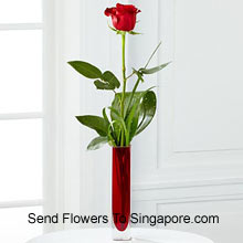 A Single Red Rose In A Red Test Tube Vase Delivered in Singapore