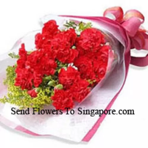 Bunch Of 18 Beautifully Wrapped Carnations